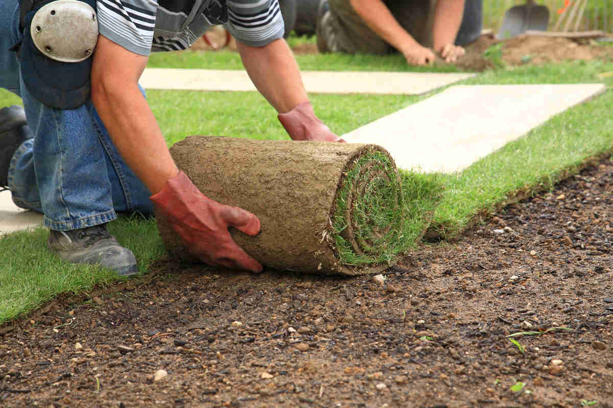 Estate lawn refresh